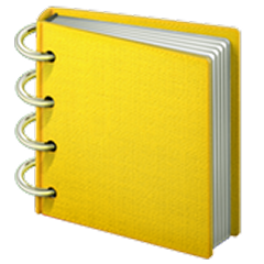 action plan